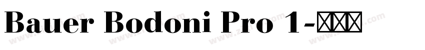 Bauer Bodoni Pro 1字体转换